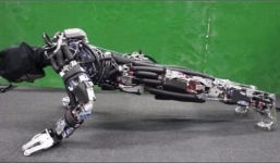 'Kẻ hủy diệt T-800' biết chống đẩy và toát cả mồ hôi