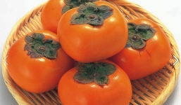 Tác hại khôn lường khi ăn hồng sai cách