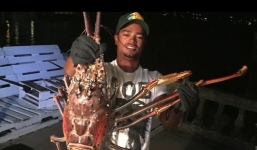 Bắt được tôm hùm 'quái vật' khổng lồ vùng Tam giác quỷ Bermuda