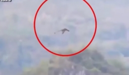 Sinh vật lạ nghi rồng khổng lồ bay trên núi gây bão mạng