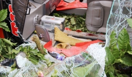 Hai xe khách đâm nhau, 15 người bị thương