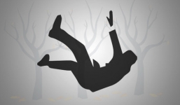 Thượng tá quân đội về hưu bị cây gạt ngã tử vong khi dọn đường phố