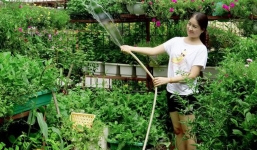 Vườn rau tươi mơn mởn trồng bằng xơ dừa của 8X Sài thành