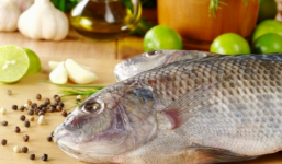 Mẹo chọn cá tươi ngon đảm bảo an toàn và dinh dưỡng cho bữa ăn gia đình