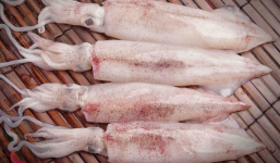 Mẹo chọn mực tươi ngon cho các bà nội trợ tự tin chiêu đãi cả nhà