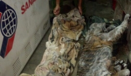 Phá đường dây mua bán động vật quý hiếm từ Lào về Việt Nam