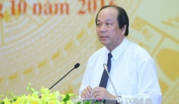 Chưa phát hiện nước mắm không bảo đảm an toàn thực phẩm