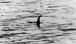 Xuất hiện sinh vật biển nghi có họ với quái vật Loch Ness ở Alaska