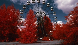 Khám phá sự thật đằng sau 3 khu rừng bí ẩn nhất thế giới