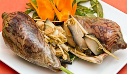 Mẹo chọn, chế biến ốc giác ngon đúng điệu ai cũng bất ngờ