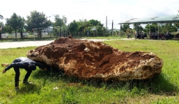 Bán đấu giá tảng đá bán quý nặng 20 tấn ở Lâm Đồng