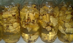 Tác dụng của cây mật gấu với sức khỏe và làm đẹp