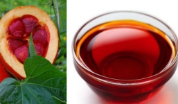 Tác dụng làm đẹp da của dầu gấc