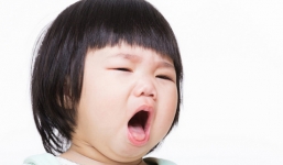 Danh sách nguyên liệu dùng trong cách chữa ho phế quản từ đông y hiệu quả 