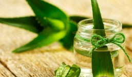 4 tác dụng làm trắng da bằng nha đam bạn phải biết