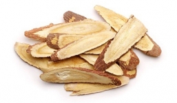 Mẹo chữa ho có đờm cho bé không cần kháng sinh bạn nên biết