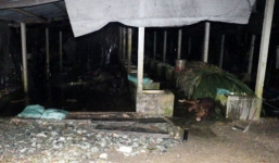 Trang trại bò sữa phát nổ trong đêm, nhiều bò sữa chết cháy