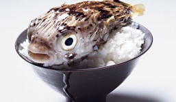 Bạn đã bao giờ thử 4 món ăn “độc nhất vô nhị” trên thế giới này chưa?