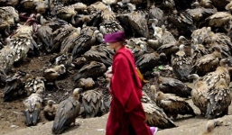 Hãi hùng tục băm xác người chết cho chim kền kền ăn