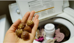 Bất ngờ việc chế nước giặt quần áo bằng bồ hòn siêu tiết kiệm