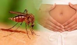 4 thai phụ dương tính với virus Zika, TP HCM họp khẩn 