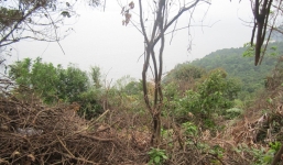 Phát hiện thi thể giấu sâu dưới ghềnh đá ở bán đảo Sơn Trà, Đà Nẵng