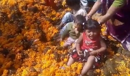 Thả trẻ con vào phân bò để cầu may tại Ấn Độ