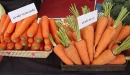 Phân biệt một số loại rau củ Trung Quốc với Việt Nam