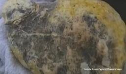 Ngư dân phát hiện long diên hương 'khủng' 80kg giá 3 triệu USD