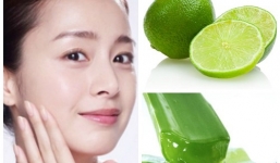 Cách làm đẹp bằng lô hội hiệu quả bạn gái nên biết