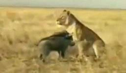 Cận cảnh quy trình được cho là sản xuất 'gạo giả' từ nhựa