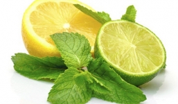 4 mẹo chữa ho cho em bé bằng thảo dược húng chanh