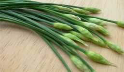 5 mẹo chữa ho dân gian hiệu quả nhất