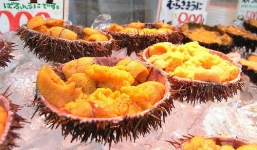 Lạ miệng với 7 món từ Nhum biển