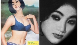 Nhan sắc 'chim sa, cá lặn' một thuở của thảm họa thẩm mỹ Thẩm Thúy Hằng