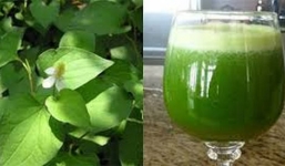 3 mẹo chữa ho viêm họng cho bé cực hiệu quả