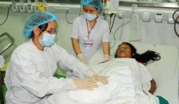 Bị đàn ong vò vẽ đốt gần 100 mũi, một cô giáo nguy kịch 