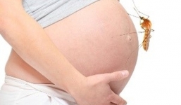 Thai phụ nhiễm Zika ở TP.HCM sinh con không bị tật đầu nhỏ