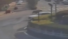 Bò 'điên' mất kiểm soát làm loạn khu phố