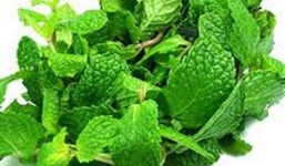 Bật mí các cách chữa ho mùa lạnh cực đơn giản