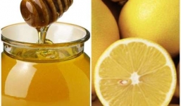 Mẹo chữa ho ngứa cổ nhanh chóng tại nhà