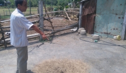 Sãi trong chùa tử vong trong tư thế mồm bị nhét giẻ