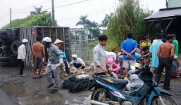 Lật xe tải chở vịt, dân không 'hôi của', xúm lại mua ủng hộ tài xế