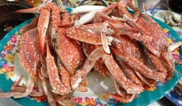 Mách bạn 4 địa điểm ăn uống Cần Giờ hải sản ngon khó cưỡng