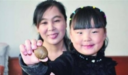 Nông dân phát hiện đá quý tiền tỷ trong bụng cừu