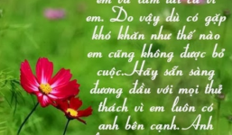 Những câu nói hay và ý nghĩa về tình yêu khiến cộng đồng mạng phát sốt