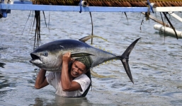 Tập Cận Bình 'cam kết' cho ngư dân Philippines vào bãi cạn Scarborough 