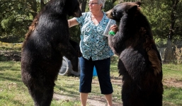 Góa phụ sống cùng với gấu khủng và hổ dữ trong nhà