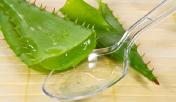 Làm đẹp da mặt bằng lô hội hiệu quả bất ngờ