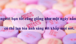 Những câu nói hay về tình bạn tuổi thanh xuân không thể lãng quên